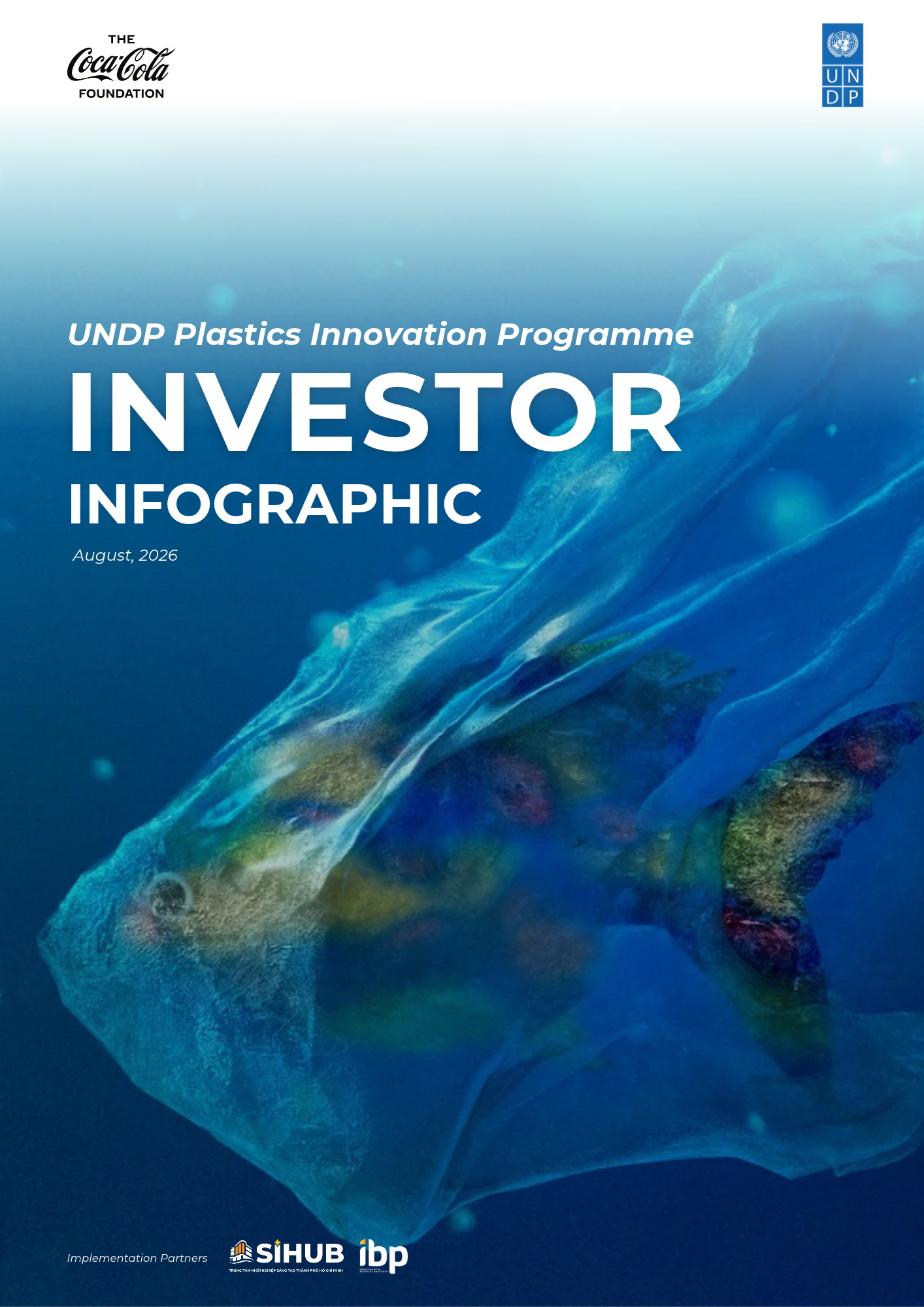 Cover: PIP investor infographic